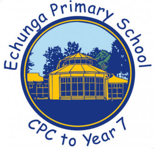 Echunga Primary School Retro-fit Audio Installation